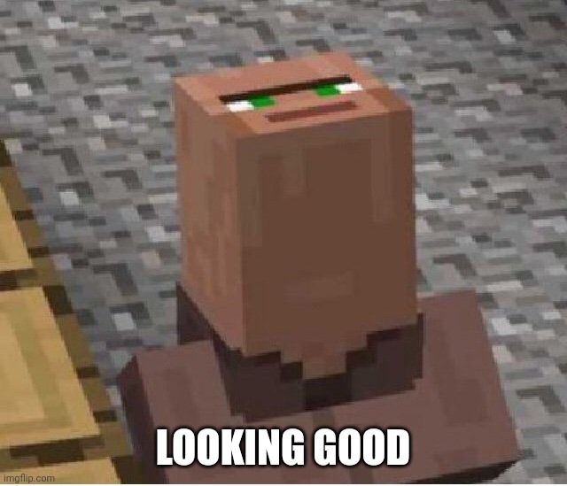 Minecraft Villager Looking Up | LOOKING GOOD | image tagged in minecraft villager looking up | made w/ Imgflip meme maker
