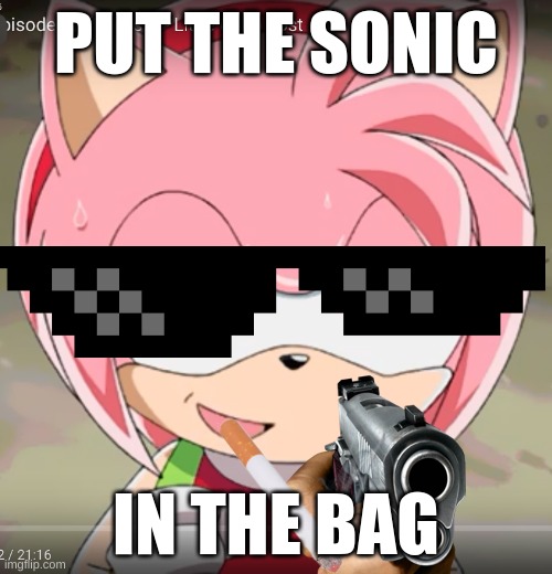Amy Rose! | PUT THE SONIC; IN THE BAG | image tagged in amy rose,guns | made w/ Imgflip meme maker