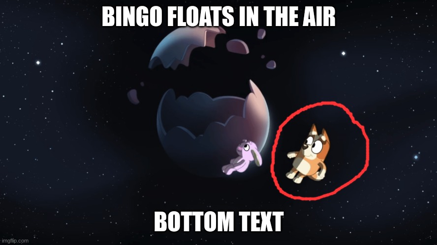 Bingo Floats In Space | BINGO FLOATS IN THE AIR; BOTTOM TEXT | image tagged in bingo floats in space,bottom text | made w/ Imgflip meme maker