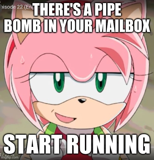 Amy Rose! | THERE'S A PIPE BOMB IN YOUR MAILBOX; START RUNNING | image tagged in amy rose | made w/ Imgflip meme maker