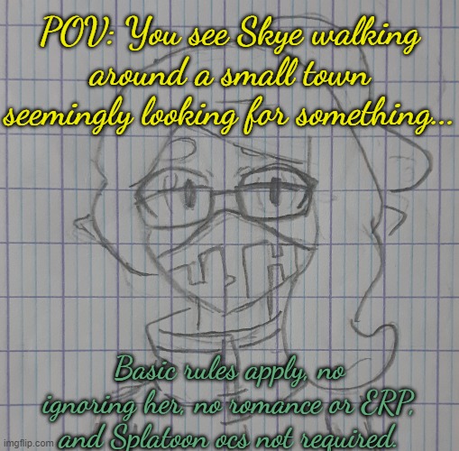 Skye | POV: You see Skye walking around a small town seemingly looking for something... Basic rules apply, no ignoring her, no romance or ERP, and Splatoon ocs not required. | image tagged in skye | made w/ Imgflip meme maker
