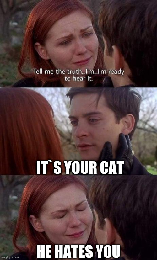 hard truth | IT`S YOUR CAT; HE HATES YOU | image tagged in tell me the truth i'm ready to hear it | made w/ Imgflip meme maker