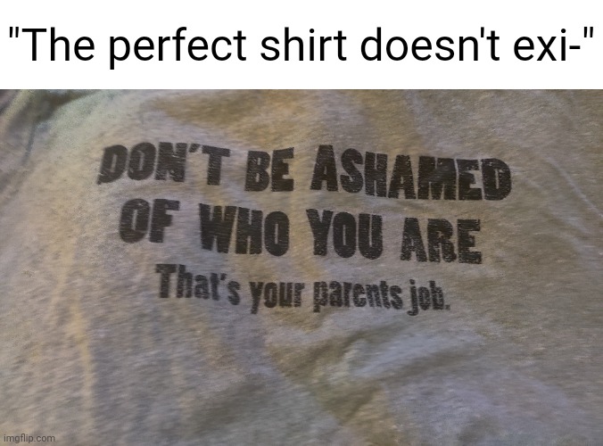 "The perfect shirt doesn't exi-" | made w/ Imgflip meme maker