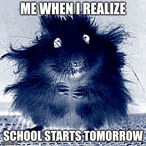 *Insert funny title here* | ME WHEN I REALIZE; SCHOOL STARTS TOMORROW | image tagged in stressed mouse | made w/ Imgflip meme maker