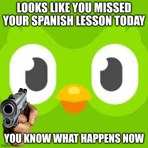 Spanish or die and vanish | LOOKS LIKE YOU MISSED YOUR SPANISH LESSON TODAY; YOU KNOW WHAT HAPPENS NOW | image tagged in duolingo | made w/ Imgflip meme maker