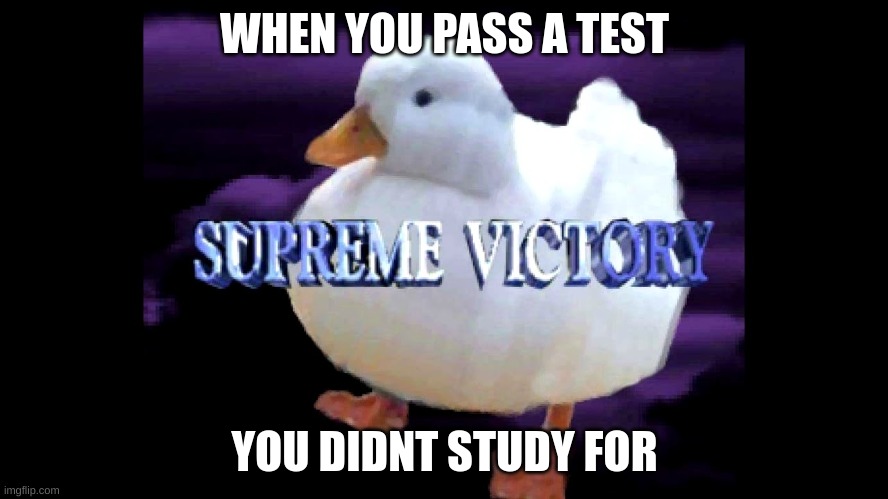 I never study lol | WHEN YOU PASS A TEST; YOU DIDNT STUDY FOR | image tagged in supreme victory duck | made w/ Imgflip meme maker
