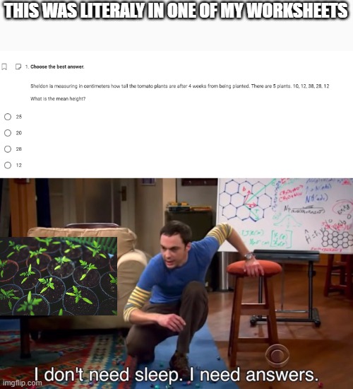 what a coincidence lol! | THIS WAS LITERALY IN ONE OF MY WORKSHEETS | image tagged in i don't need sleep i need answers,sheldon cooper | made w/ Imgflip meme maker