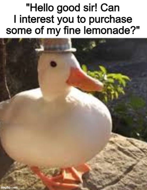 Bro's ready to run a business | "Hello good sir! Can I interest you to purchase some of my fine lemonade?" | made w/ Imgflip meme maker