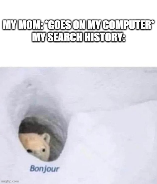 here comes the flip flop... | MY MOM: *GOES ON MY COMPUTER*
MY SEARCH HISTORY: | image tagged in bonjour,search history | made w/ Imgflip meme maker
