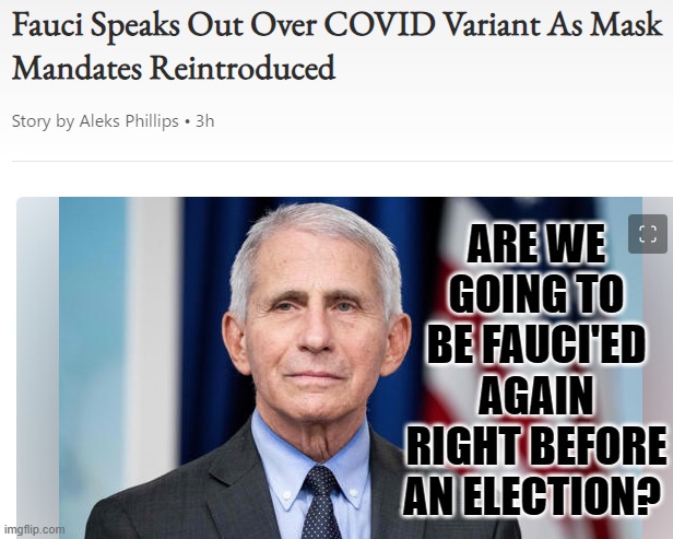 Are you going to be Fauci'ed again? | ARE WE GOING TO BE FAUCI'ED AGAIN RIGHT BEFORE AN ELECTION? | image tagged in goodfellas laugh,human stupidity,morons,democrats | made w/ Imgflip meme maker