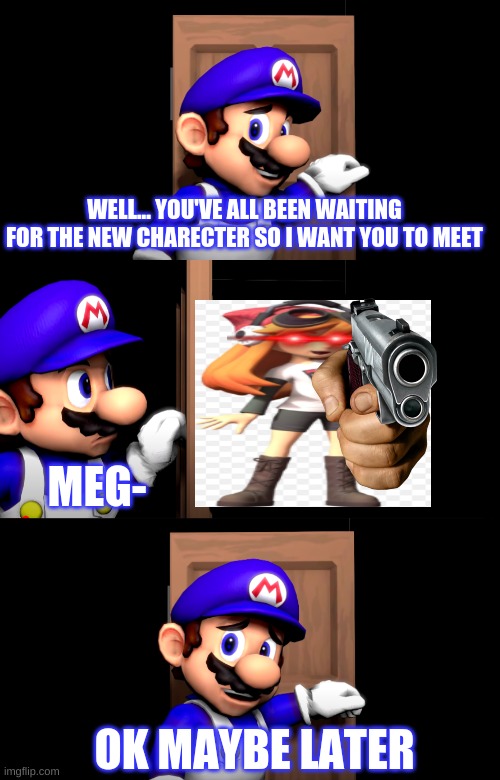 Smg4 door with no text | WELL... YOU'VE ALL BEEN WAITING FOR THE NEW CHARECTER SO I WANT YOU TO MEET; MEG-; OK MAYBE LATER | image tagged in smg4 door with no text | made w/ Imgflip meme maker