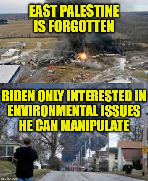Save the whales! | EAST PALESTINE
IS FORGOTTEN; BIDEN ONLY INTERESTED IN
ENVIRONMENTAL ISSUES
HE CAN MANIPULATE | image tagged in environment | made w/ Imgflip meme maker