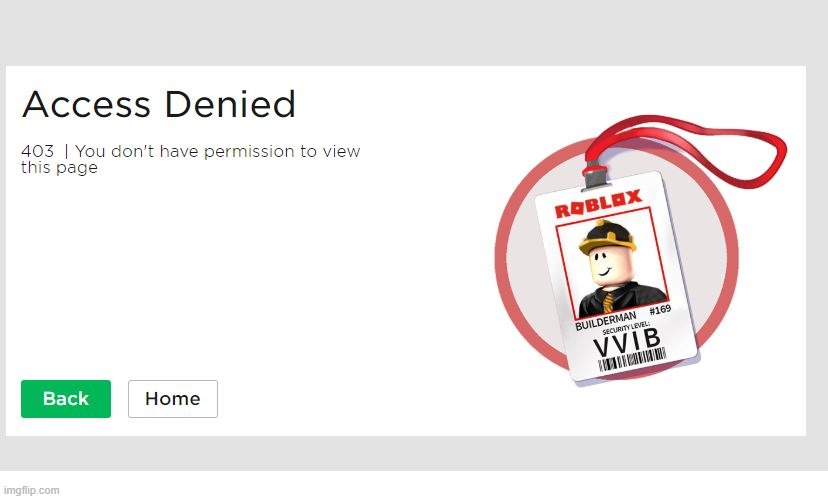 Roblox you do not have permission | image tagged in roblox you do not have permission | made w/ Imgflip meme maker