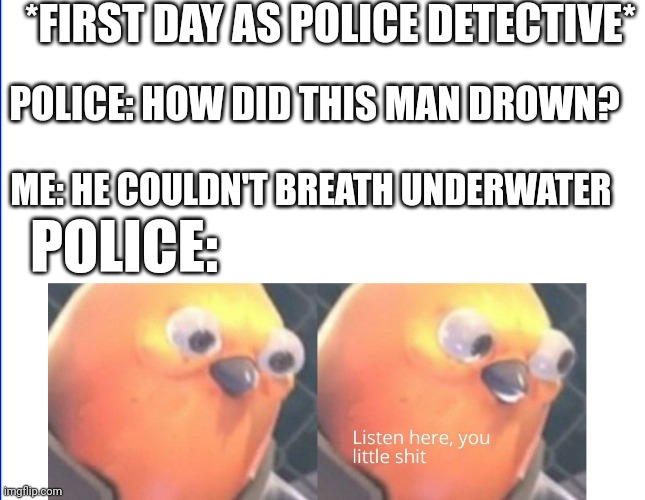 I have told no lie!! | *FIRST DAY AS POLICE DETECTIVE*; POLICE: HOW DID THIS MAN DROWN? ME: HE COULDN'T BREATH UNDERWATER; POLICE: | image tagged in listen here you little shit | made w/ Imgflip meme maker