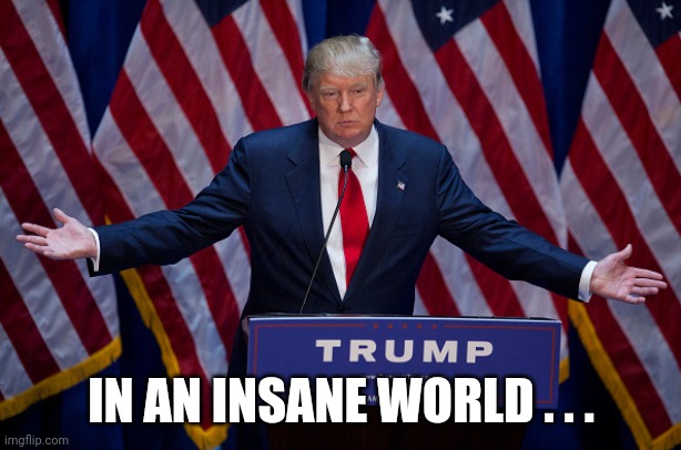 Donald Trump | IN AN INSANE WORLD . . . | image tagged in donald trump | made w/ Imgflip meme maker