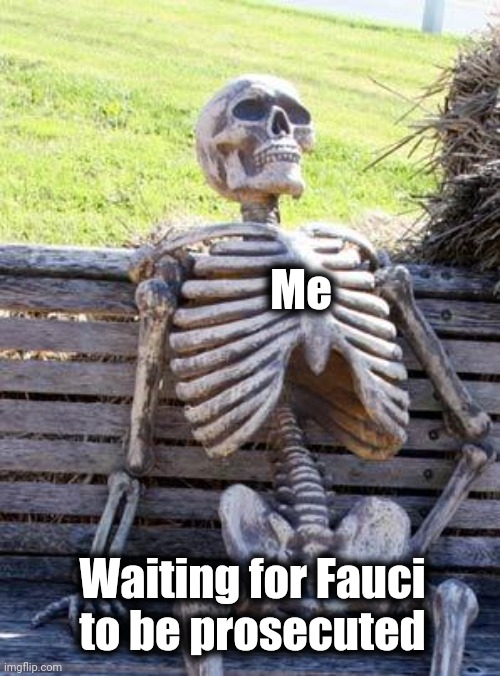 Waiting Skeleton Meme | Me Waiting for Fauci
to be prosecuted | image tagged in memes,waiting skeleton | made w/ Imgflip meme maker