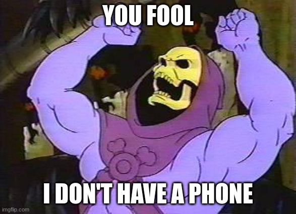 You Fool Skeletor | YOU FOOL I DON'T HAVE A PHONE | image tagged in you fool skeletor | made w/ Imgflip meme maker