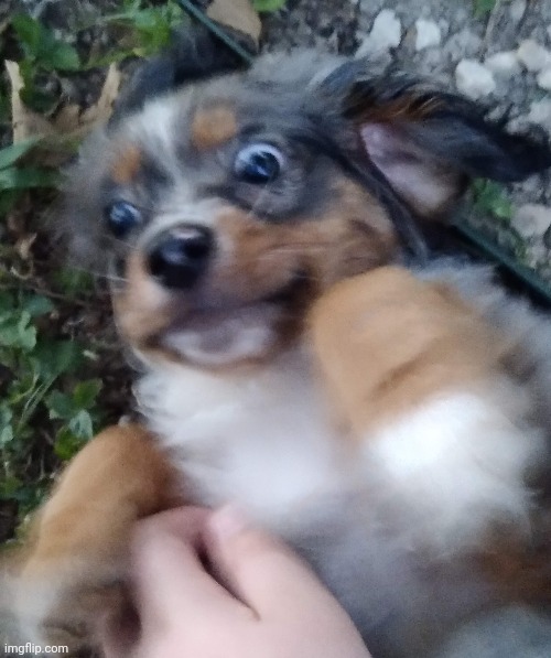 jennifer :) she's very retarded | made w/ Imgflip meme maker