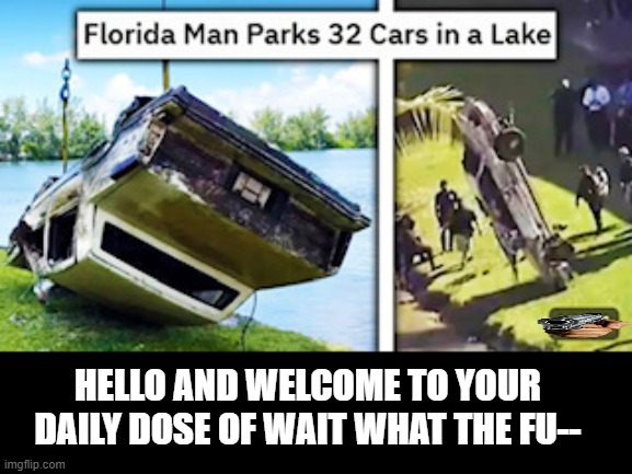 Wtf are floridians plotting | HELLO AND WELCOME TO YOUR DAILY DOSE OF WAIT WHAT THE FU-- | image tagged in florida man,cars,lake | made w/ Imgflip meme maker