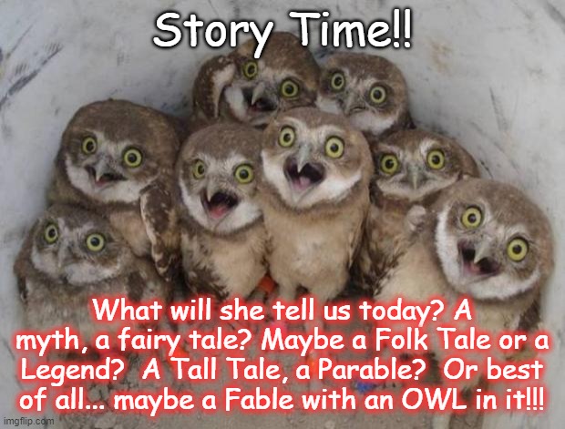 Excited Owls | Story Time!! What will she tell us today? A myth, a fairy tale? Maybe a Folk Tale or a Legend?  A Tall Tale, a Parable?  Or best of all... maybe a Fable with an OWL in it!!! | image tagged in excited owls | made w/ Imgflip meme maker
