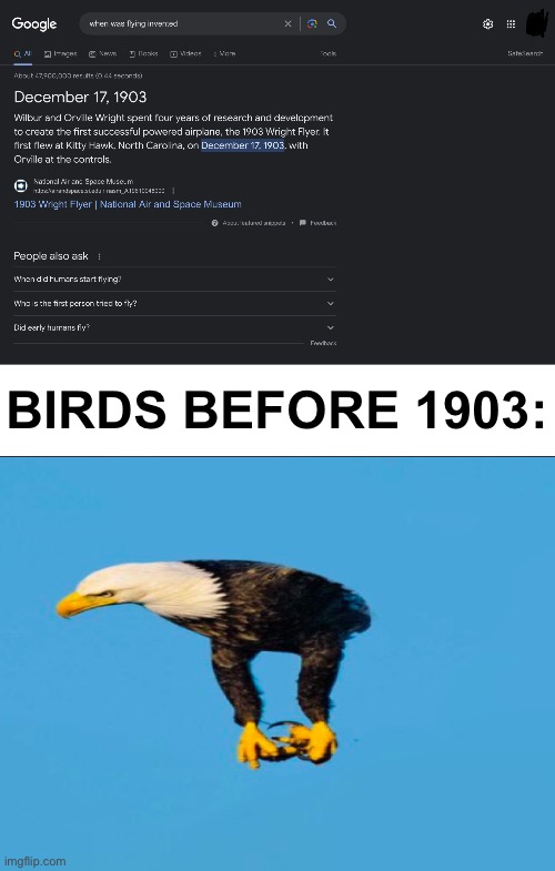 Birds Before 1903 | BIRDS BEFORE 1903: | image tagged in birds,memes | made w/ Imgflip meme maker