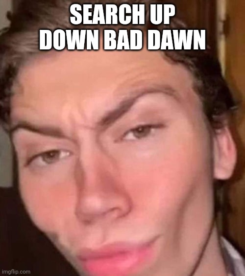 (on imgflip) | SEARCH UP DOWN BAD DAWN | made w/ Imgflip meme maker