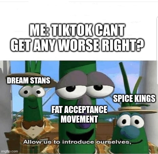 Allow us to introduce ourselves | ME: TIKTOK CANT GET ANY WORSE RIGHT? DREAM STANS; SPICE KINGS; FAT ACCEPTANCE MOVEMENT | image tagged in allow us to introduce ourselves,ree | made w/ Imgflip meme maker