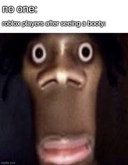 lmfao | no one:; roblox players after seeing a booty: | image tagged in quandale dingle,memes,funny | made w/ Imgflip meme maker