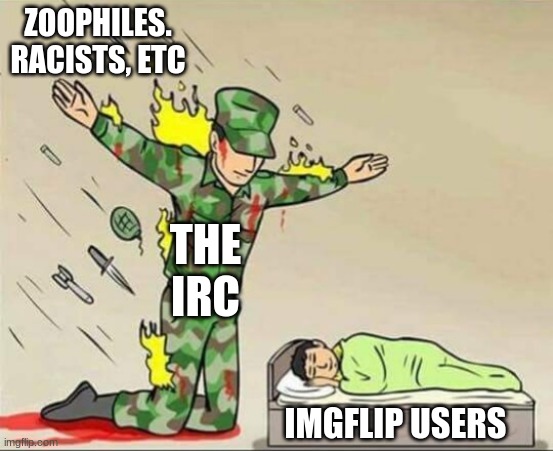 Soldier protecting sleeping child | ZOOPHILES. RACISTS, ETC; THE IRC; IMGFLIP USERS | image tagged in soldier protecting sleeping child | made w/ Imgflip meme maker