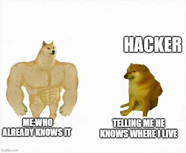 Strong dog vs weak dog | HACKER; ME:WHO ALREADY KNOWS IT; TELLING ME HE KNOWS WHERE I LIVE | image tagged in strong dog vs weak dog | made w/ Imgflip meme maker