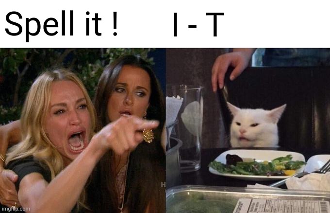 Woman Yelling At Cat Meme | Spell it ! I - T | image tagged in memes,woman yelling at cat | made w/ Imgflip meme maker