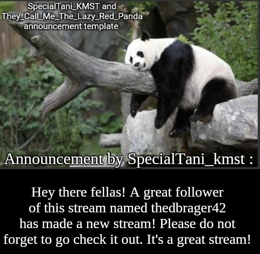 Announcement. | Announcement by SpecialTani_kmst :; Hey there fellas! A great follower of this stream named thedbrager42 has made a new stream! Please do not forget to go check it out. It's a great stream! | image tagged in they_call_me_the_lazy_red_panda and specialtani_kmst template | made w/ Imgflip meme maker