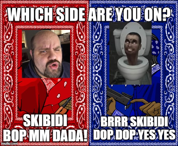 WHICH SIDE ARE YOU ON? | SKIBIDI BOP MM DADA! BRRR SKIBIDI DOP DOP YES YES | image tagged in which side are you on | made w/ Imgflip meme maker