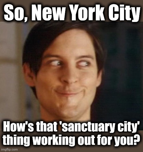 Insane public policy comes to its fruition | So, New York City; How's that 'sanctuary city'
thing working out for you? | image tagged in memes,spiderman peter parker,new york city,migrants,democrats,sanctuary cities | made w/ Imgflip meme maker