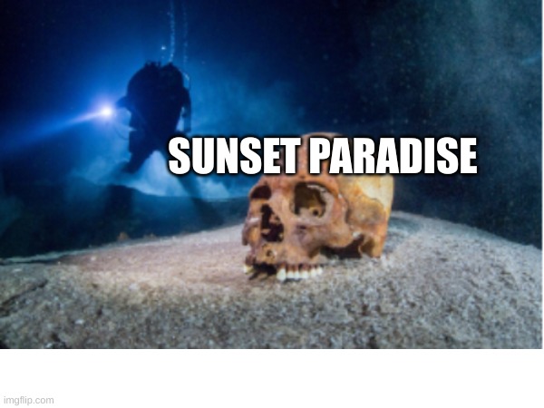 SUNSET PARADISE | made w/ Imgflip meme maker