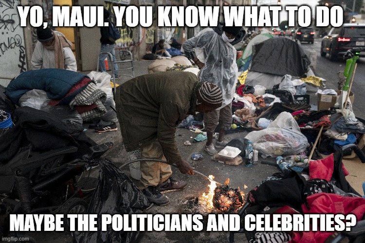 YO, MAUI. YOU KNOW WHAT TO DO; MAYBE THE POLITICIANS AND CELEBRITIES? | made w/ Imgflip meme maker