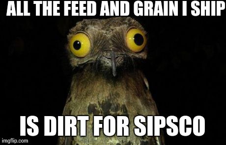 Weird Stuff I Do Potoo Meme | ALL THE FEED AND GRAIN I SHIP IS DIRT FOR SIPSCO | image tagged in memes,weird stuff i do potoo,sips | made w/ Imgflip meme maker