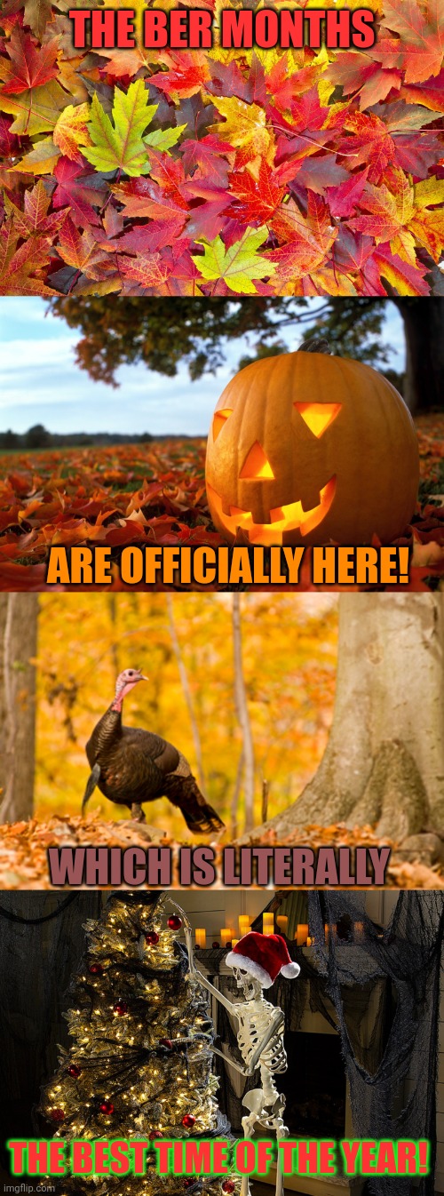 IT HAS BEGUN! | THE BER MONTHS; ARE OFFICIALLY HERE! WHICH IS LITERALLY; THE BEST TIME OF THE YEAR! | image tagged in september,october,november,december,spooky month,autumn | made w/ Imgflip meme maker
