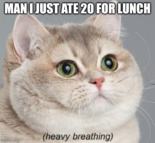 Heavy Breathing Cat Meme | MAN I JUST ATE 20 FOR LUNCH | image tagged in memes,heavy breathing cat | made w/ Imgflip meme maker