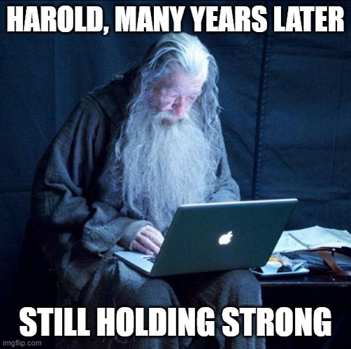 Computer Gandalf | HAROLD, MANY YEARS LATER STILL HOLDING STRONG | image tagged in computer gandalf | made w/ Imgflip meme maker