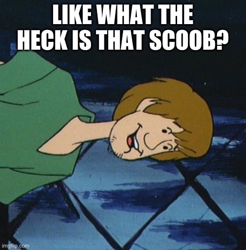 Cartoon shaggy 2 | LIKE WHAT THE HECK IS THAT SCOOB? | image tagged in cartoon shaggy 2 | made w/ Imgflip meme maker