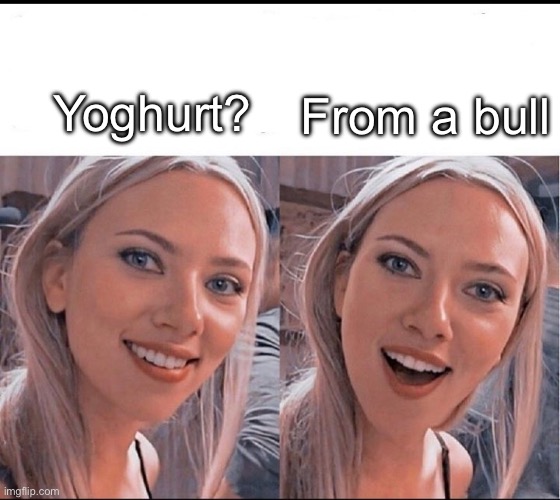 Yoghurt? | From a bull; Yoghurt? | image tagged in smiling blonde girl,yogurt | made w/ Imgflip meme maker