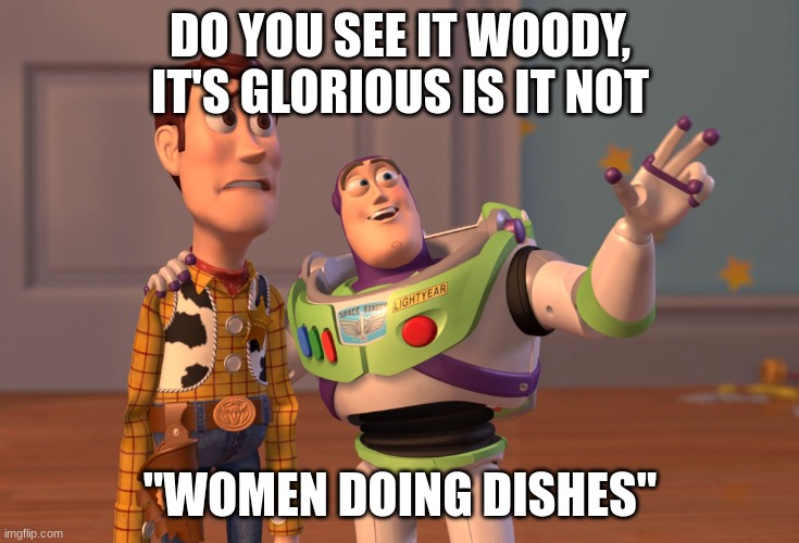 X, X Everywhere | DO YOU SEE IT WOODY, IT'S GLORIOUS IS IT NOT; "WOMEN DOING DISHES" | image tagged in memes,x x everywhere | made w/ Imgflip meme maker