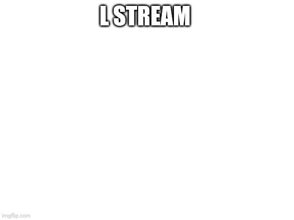 L STREAM | image tagged in raiders | made w/ Imgflip meme maker