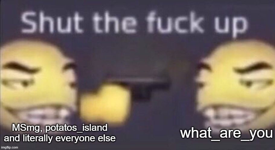 stfu | MSmg, potatos_island and literally everyone else; what_are_you | image tagged in stfu | made w/ Imgflip meme maker