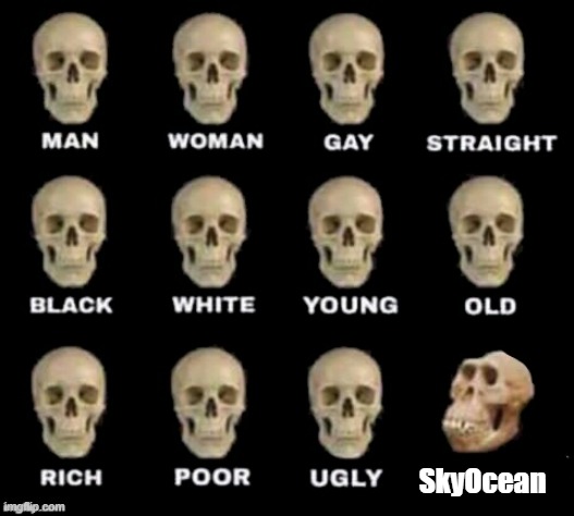 damn | SkyOcean | image tagged in idiot skull | made w/ Imgflip meme maker