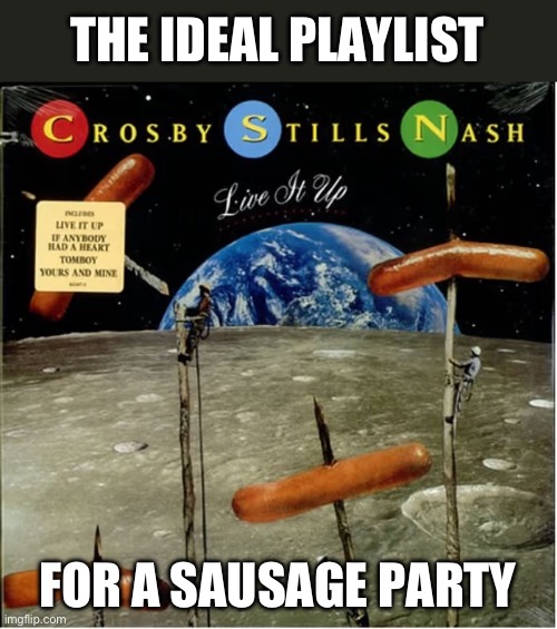 Sausage Party | THE IDEAL PLAYLIST; FOR A SAUSAGE PARTY | image tagged in sausage party,too many hot dogs | made w/ Imgflip meme maker