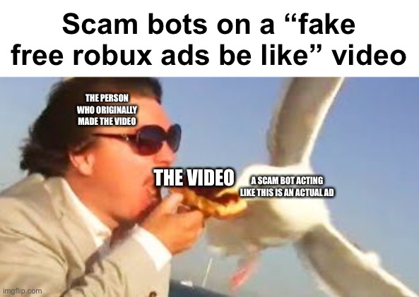 swiping seagull | Scam bots on a “fake free robux ads be like” video; THE PERSON WHO ORIGINALLY MADE THE VIDEO; THE VIDEO; A SCAM BOT ACTING LIKE THIS IS AN ACTUAL AD | image tagged in swiping seagull | made w/ Imgflip meme maker