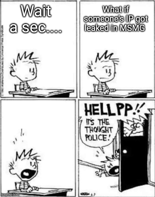 Calvin Hobbes Thought Police | What if someone's IP got leaked in MSMG; Wait a sec.... | image tagged in calvin hobbes thought police | made w/ Imgflip meme maker