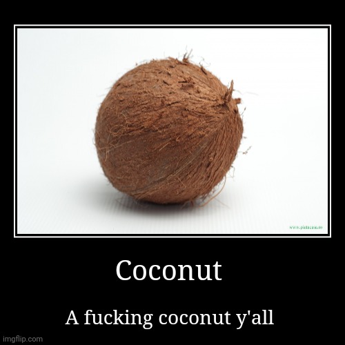 Real | Coconut | A fucking coconut y'all | image tagged in funny,demotivationals | made w/ Imgflip demotivational maker